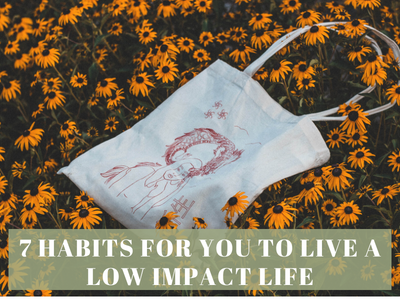 7 SIMPLE HABITS TO LIVE A LOW-IMPACT LIFE