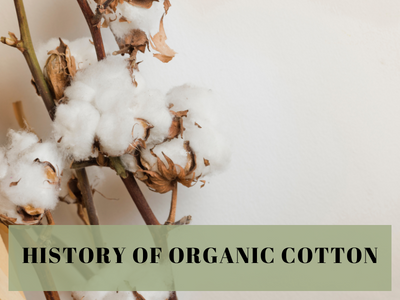 History of Organic Cotton: From Ancient Origins to Sustainable Fashion