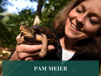 #TheGoodTribe Interview with Pam Meier, Founder of The Turtle’s Back